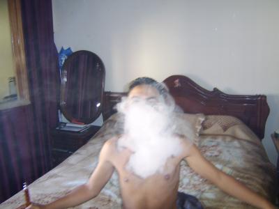 chicha en plein maison